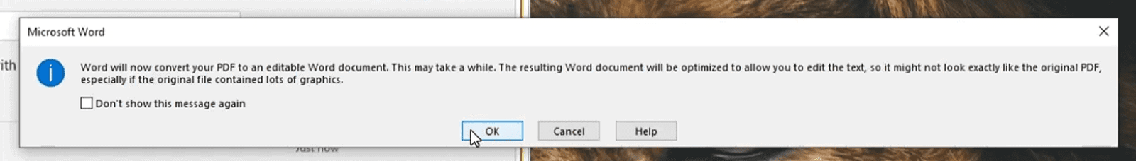 Microsoft Word message confirming it will convert a PDF to Word document