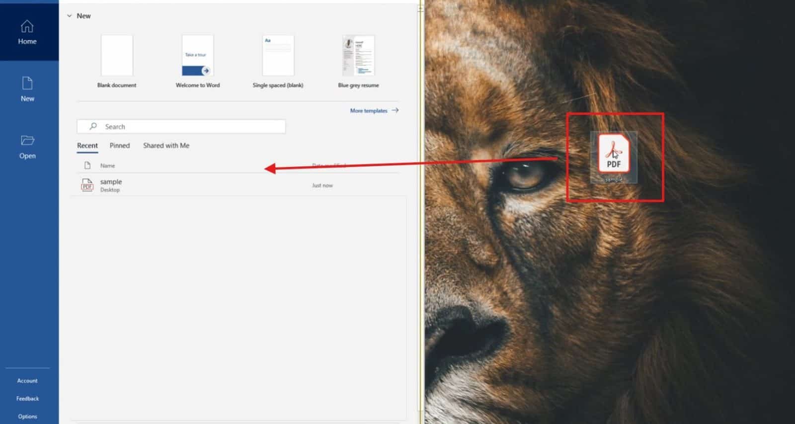 Dragging a PDF into Microsoft Word to convert a PDF to Word document