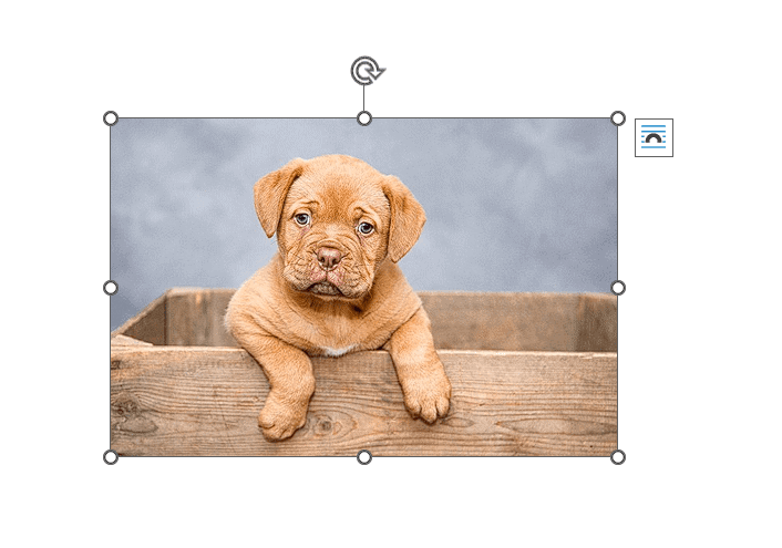 How to move an image freely in Word - selecting the image to show resize handles