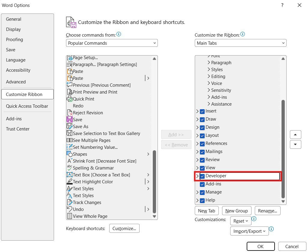 Developer tab enabled - ready to insert a check box in Word