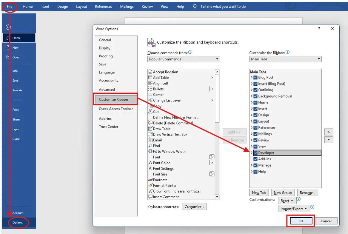 How to create a fillable form in Word - enabling the Developer tab