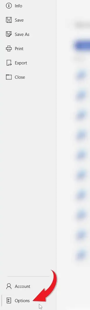 Microsoft Word Options button highlighted in the File menu sidebar