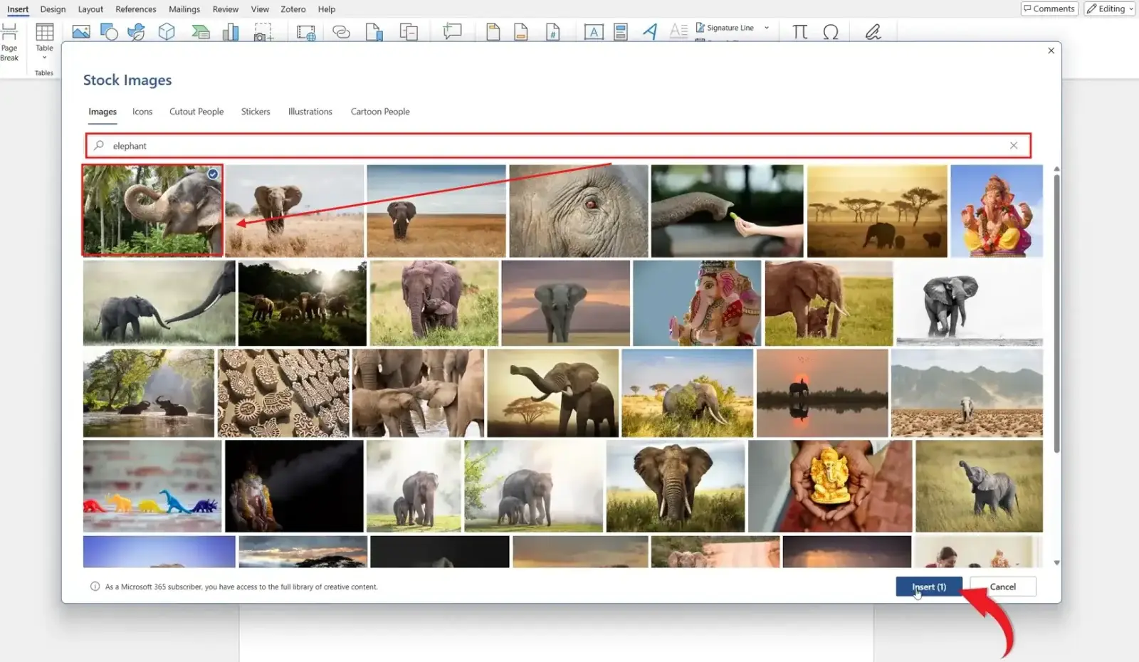 Microsoft Word Stock Images window showing elephant search results for how to insert a picture in Word from the built-in library