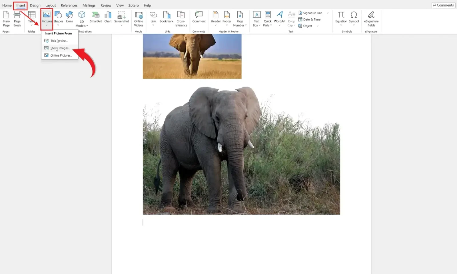 Microsoft Word document showing an elephant picture inserted using the Online Pictures feature from the Insert tab