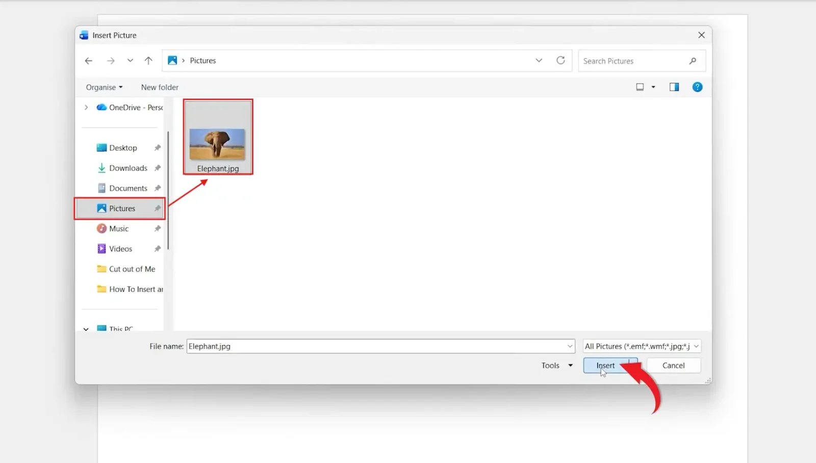 Microsoft Word file picker showing how to insert a picture in Word by selecting an image and clicking the Insert button
