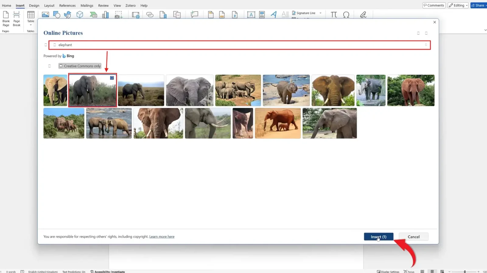 Microsoft Word Online Pictures window showing elephant search results with Insert button highlighted for inserting pictures in Word
